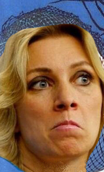 Мария Захарова. Фото из открытых источников сети Интернета (Яндекс - картинки)