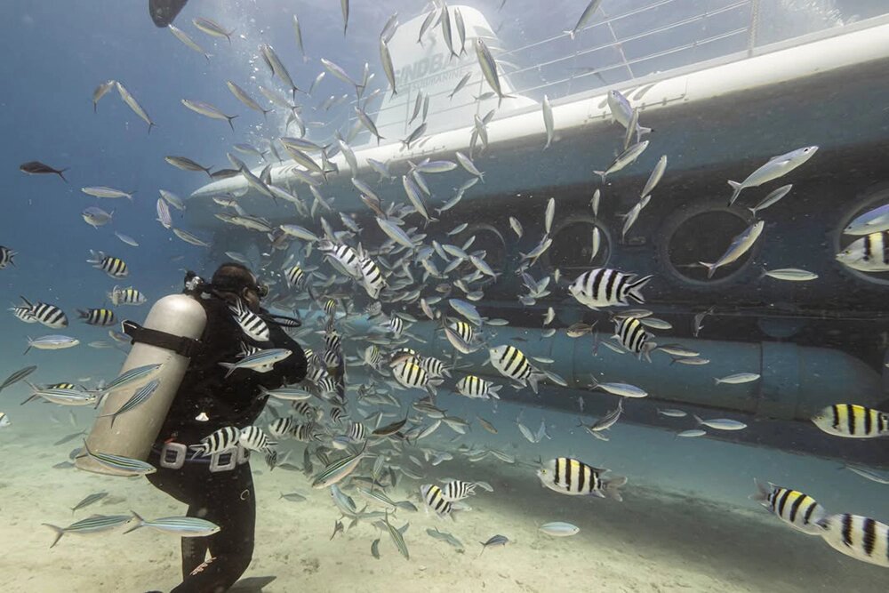   Батискаф «Синбад», затонувший в Хургаде. Фото: соцсети