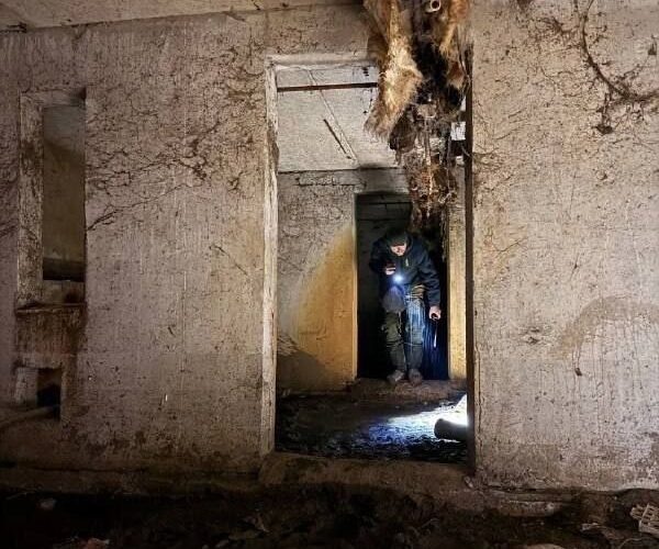    Фото: соцсети