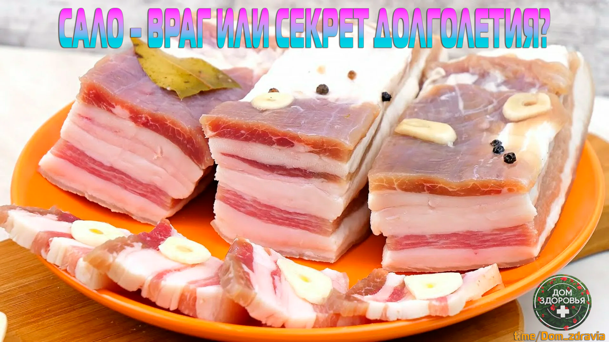 САЛО – ВРАГ ИЛИ СЕКРЕТ ДОЛГОЛЕТИЯ?