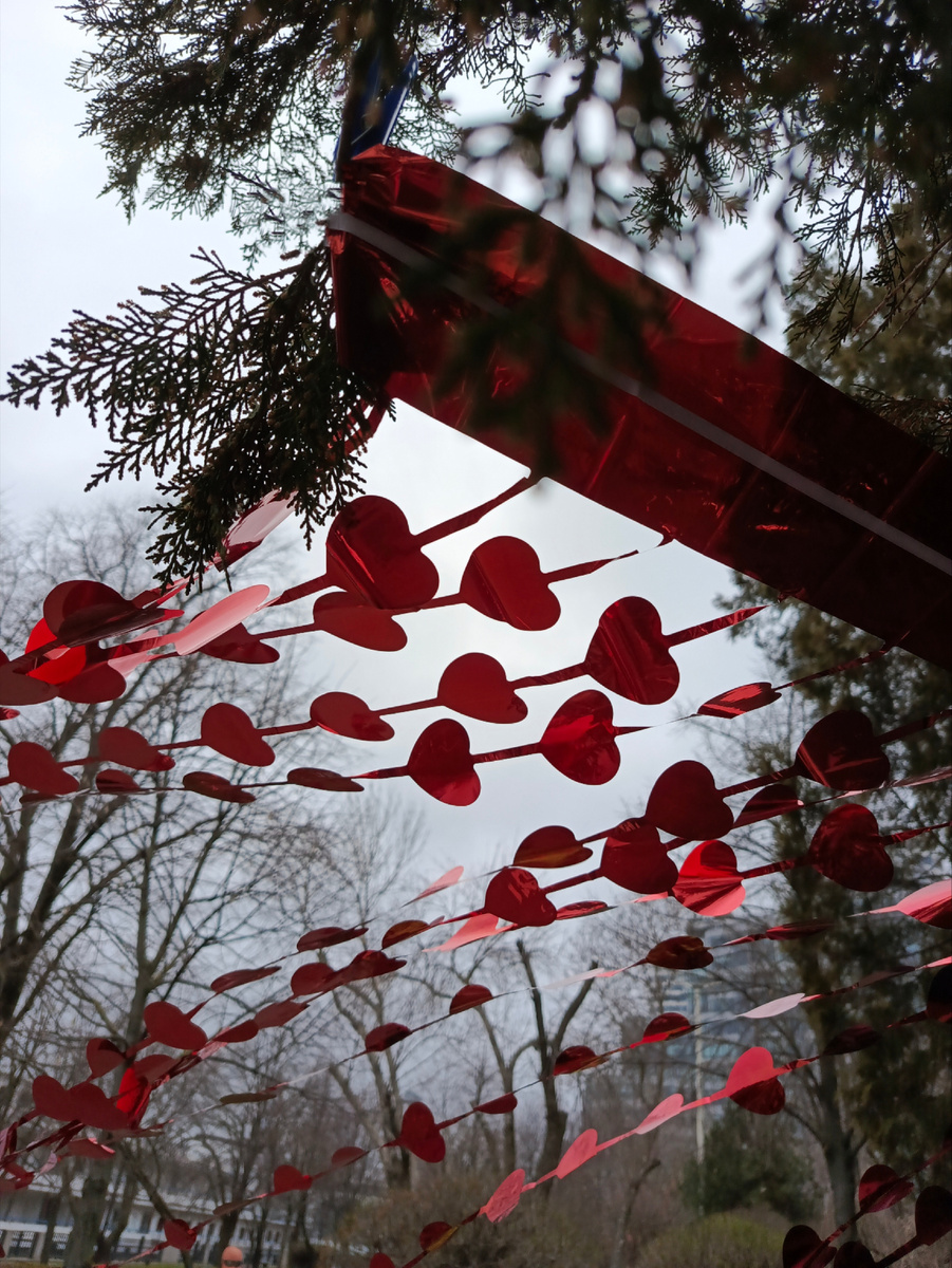 5 вёрст - это по любви! ❤