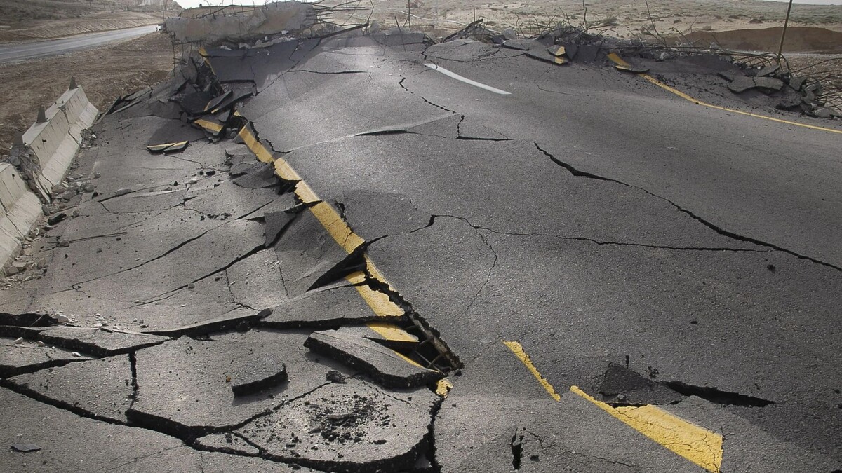    Фото: SDubi/Shutterstock/Fotodom