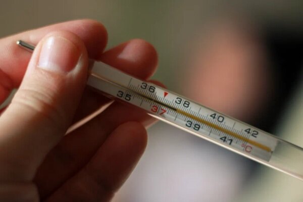 Shutterstock / FOTODOM / MoonSplinters