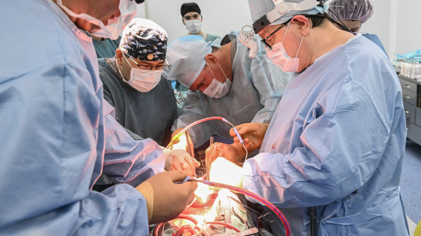    Фото: © РИА Новости/Илья Питалев