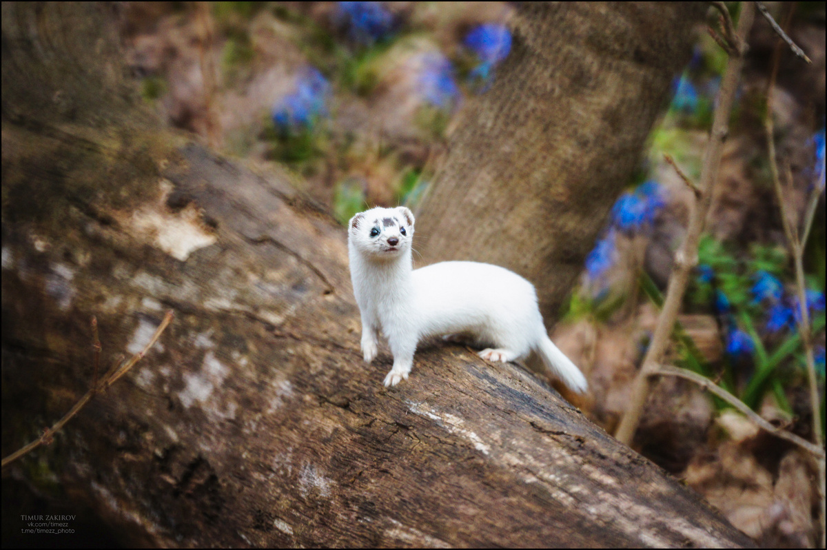 Здесь 2 кадра с разным поворотом головы >>