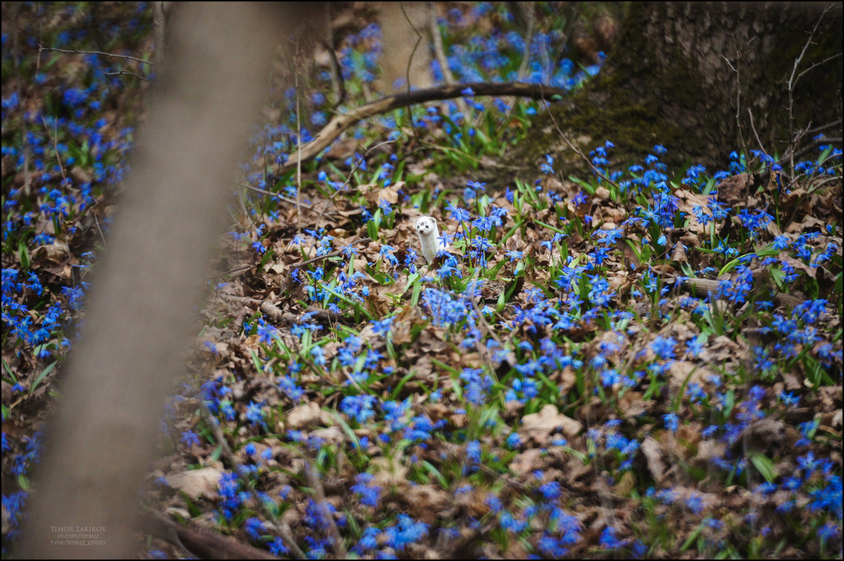 Здесь 2 кадра, пролистайте >>>