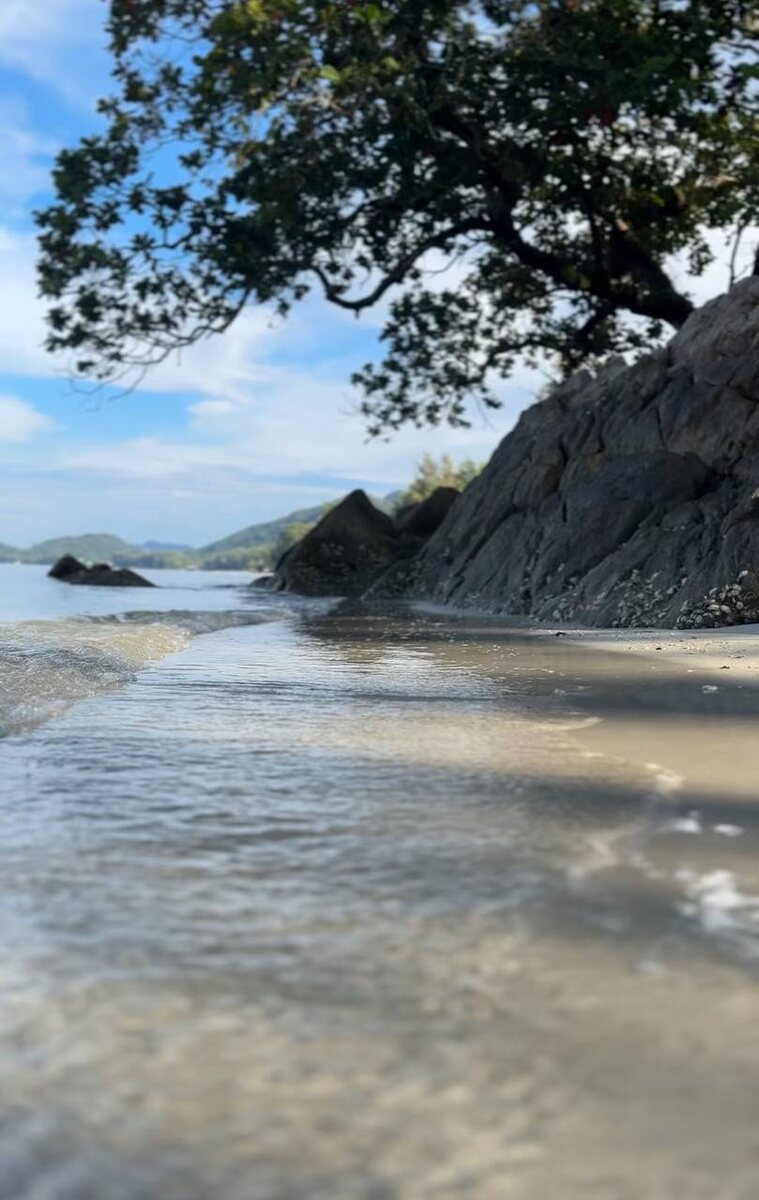 «Планета Лета»