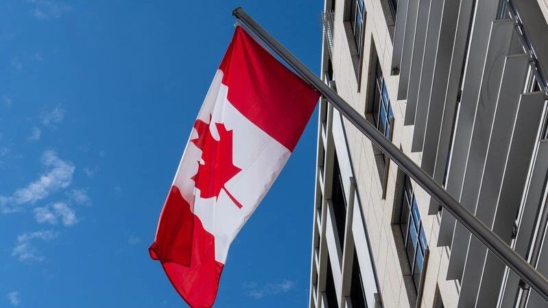    Фото: Mo Photography Berlin/Shutterstock/Fotodom