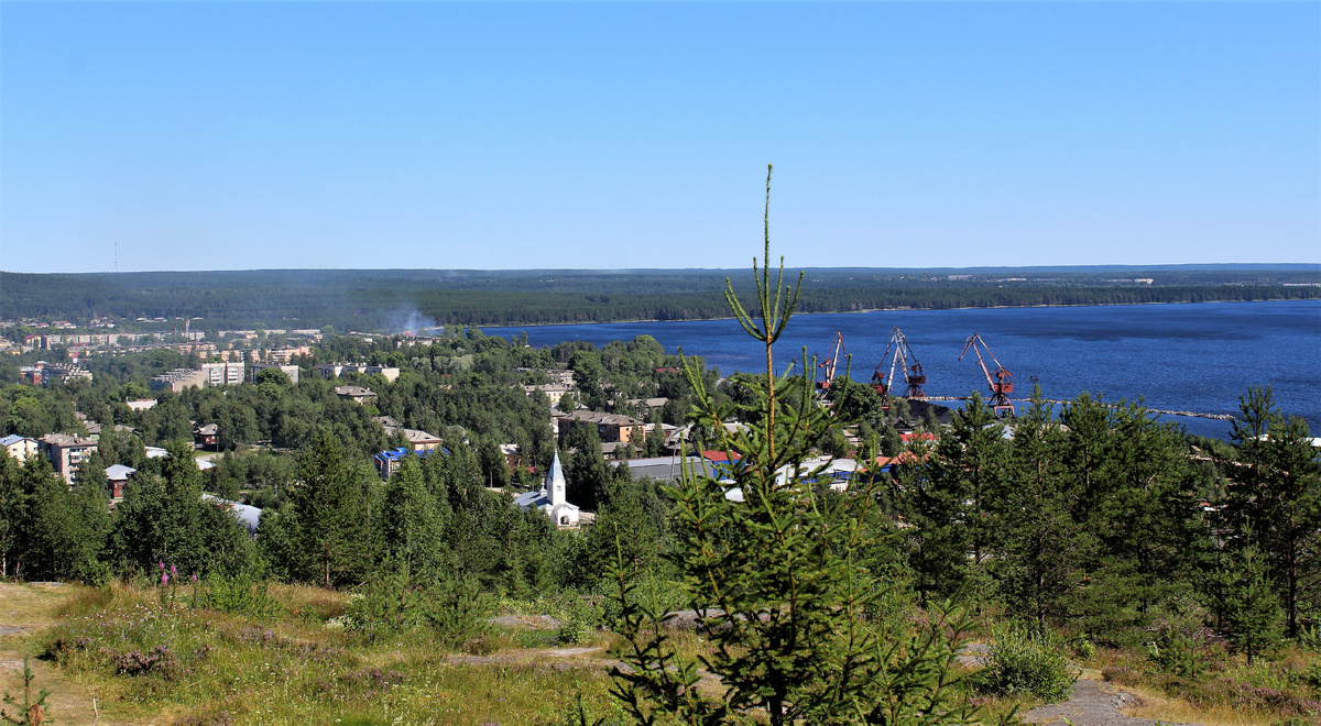 Фото из интернета