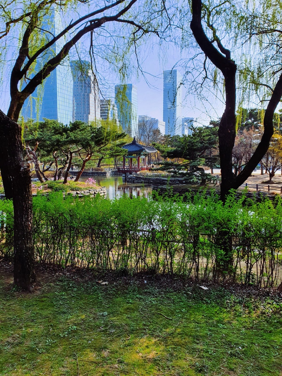 Yeouido Park, Ph: Taya Raiskaya