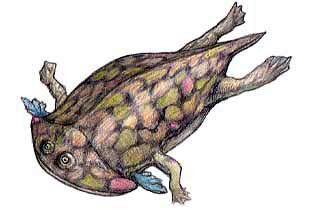 Причудливый арт с герротораксом – близким родичем плагиозуха.