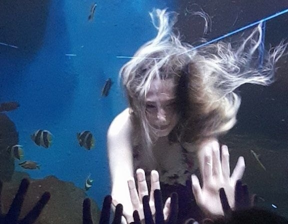 © Фото VN.ru.📷
