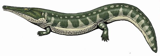 Трематолест. Иллюстрация от Дмитрия Богданова.