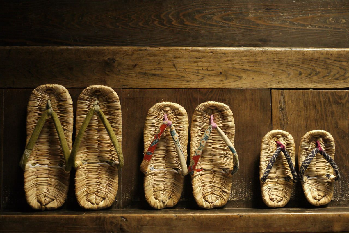 Дзори являются прародителями вьетнамок.