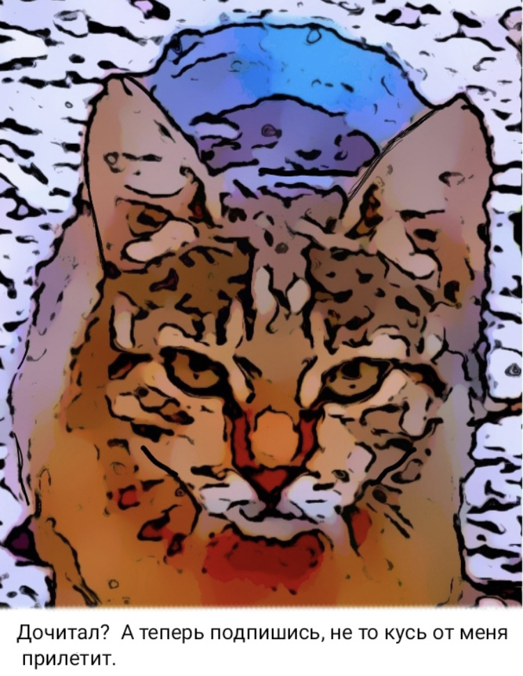 Аватарка канала ,,кошкин дом😽,,