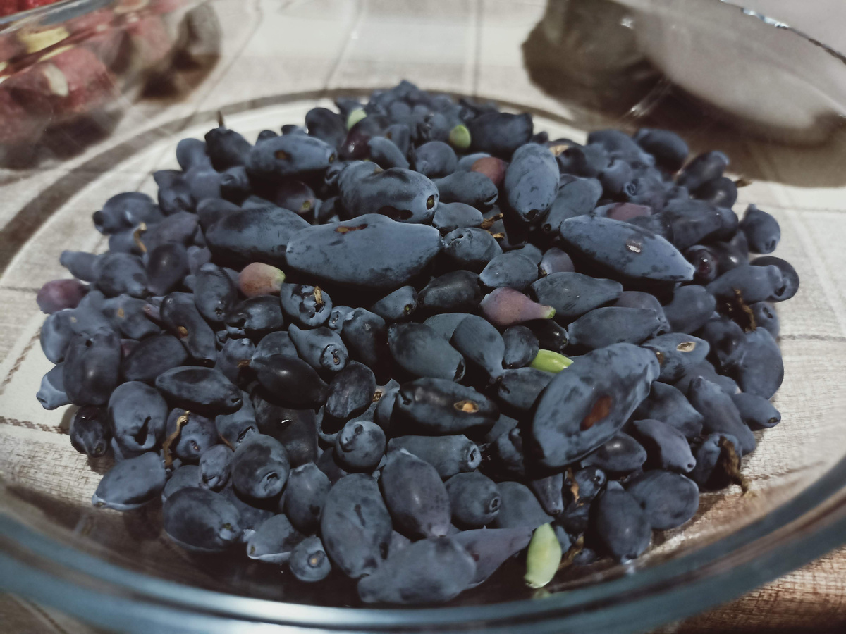 Разнообразие сортов