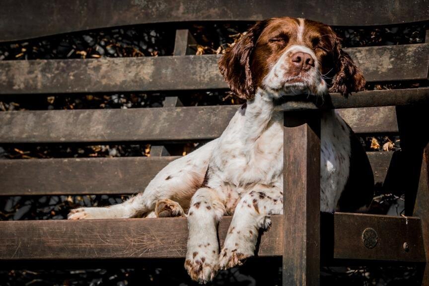 источник фото: https://s.poembook.ru/theme/33/e3/fd/a23362246d4f43a7baea27225c133157be03be72.jpeg