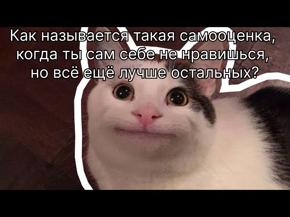 "Как называется такая самооценка, когда ты сам себе не нравишься, но всё ещё лучше остальных?" :)