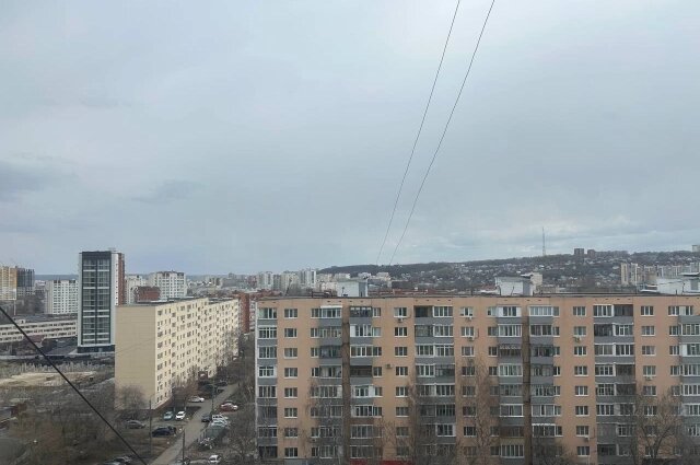    Фото:  АиФ/ Владлена Курылева