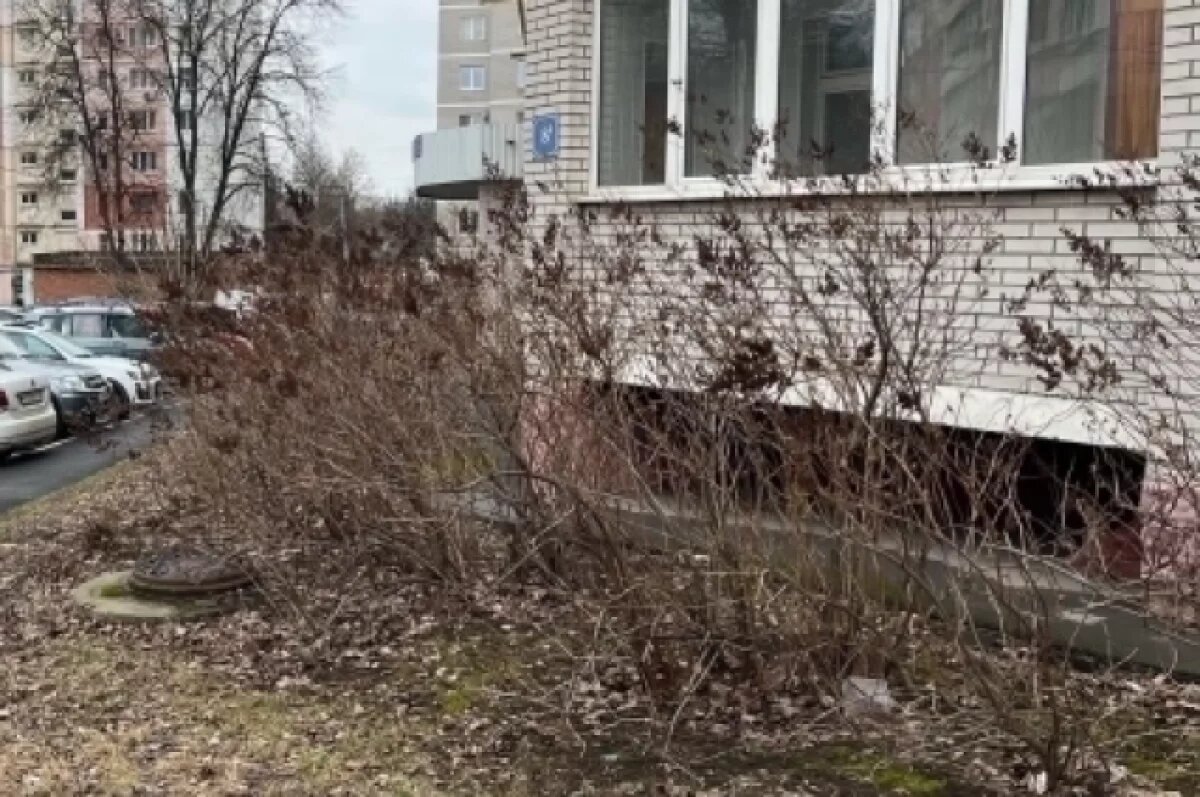    30 марта в Туле прогнозируют переменную облачность и до +12