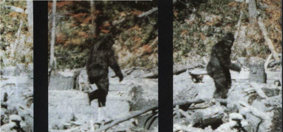 Роджер Паттерсон и Боб Гимлин — авторы знаменитого видео с йети, снятого в 1967 году в ущелье Блаф-Крик в Калифорнии