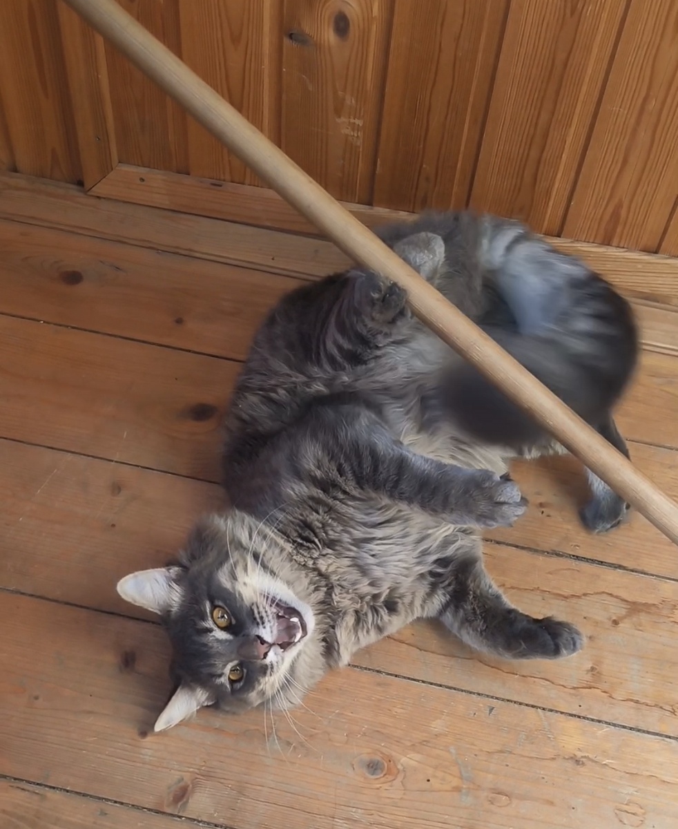 Все фотографии в статье авторские. Баська 