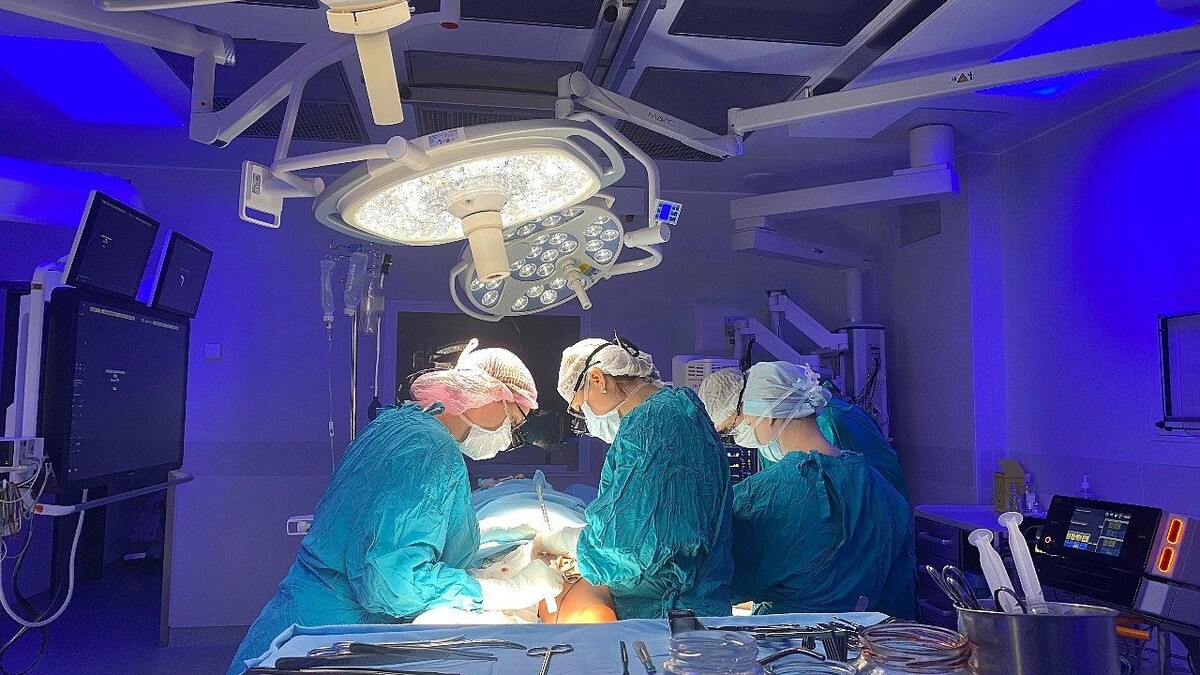    фото: телеканал «Краснодар»