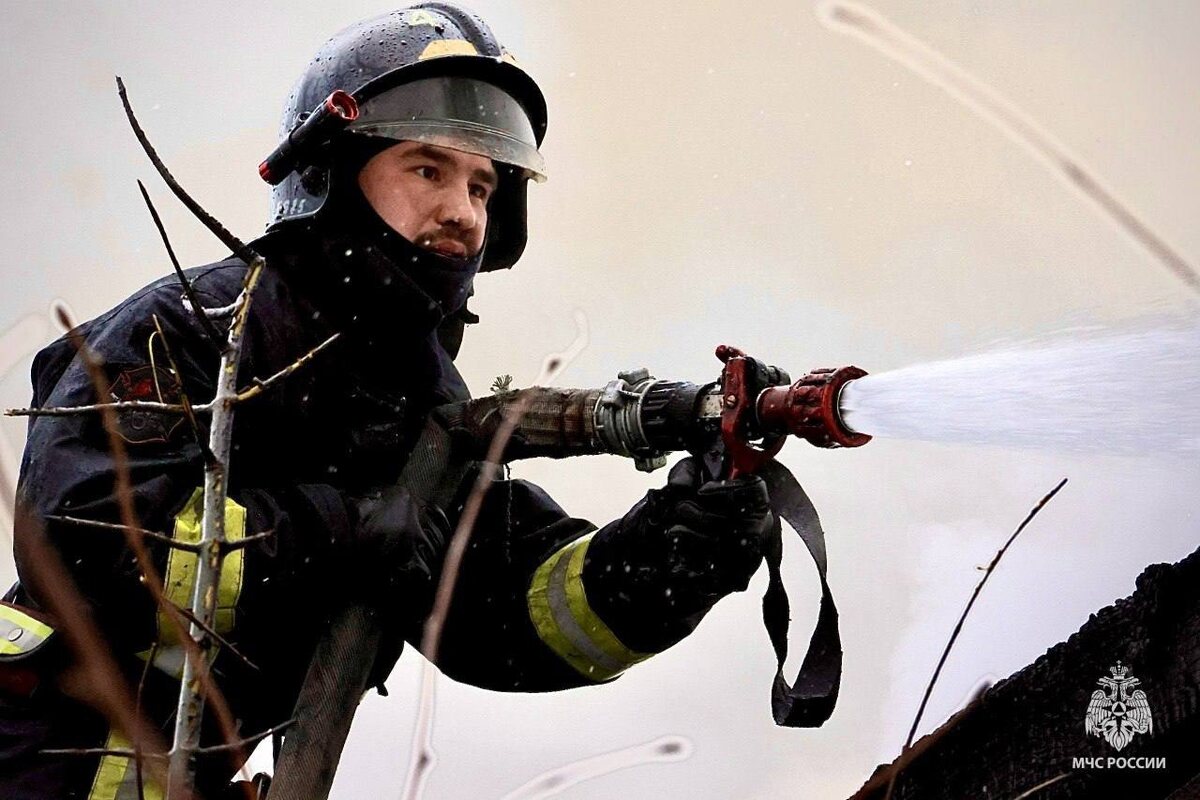    Фото: МЧС России