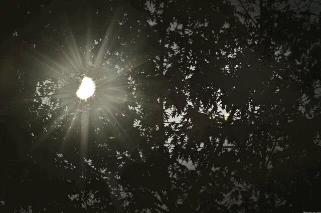    Почему в Самаре не было видно солнечного затмения?