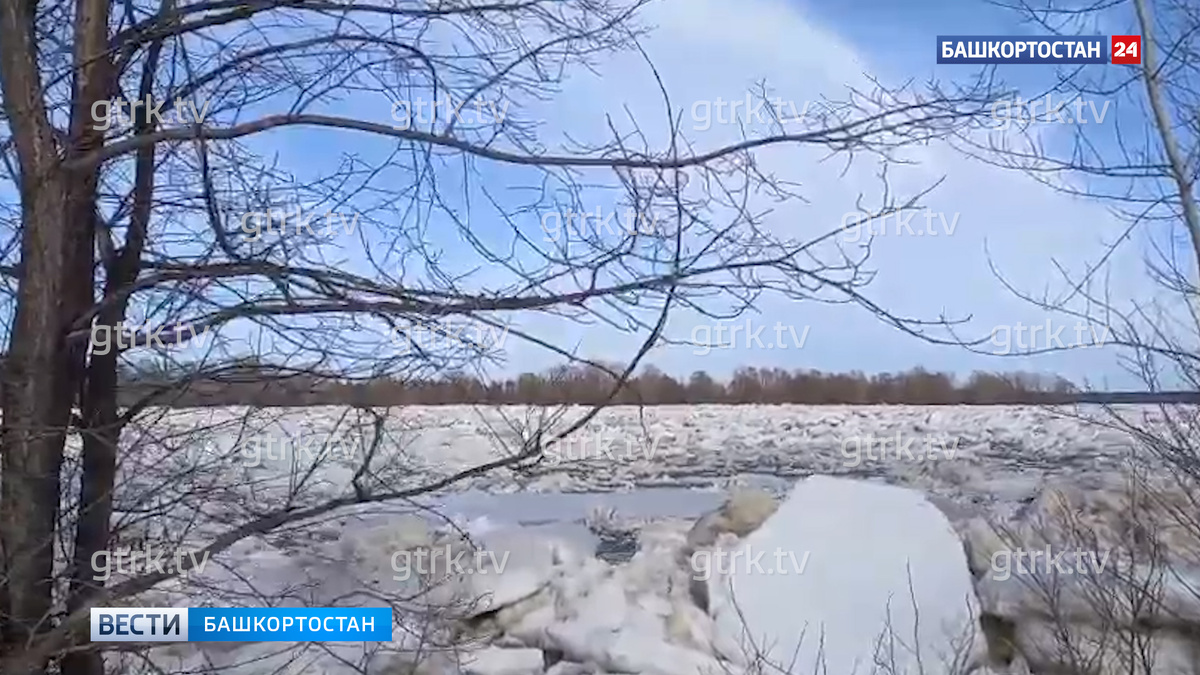    Очевидцы засняли ледоход на реке Белой вблизи села Исмаилово в Башкортостане