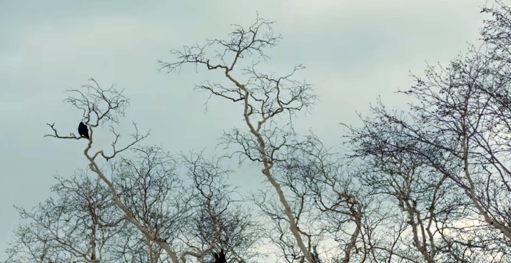 Здесь и далее - скриншоты с видео.
