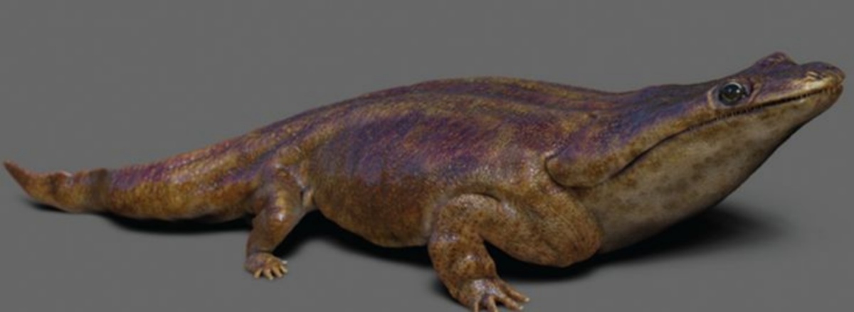 Некий метопозавроид.