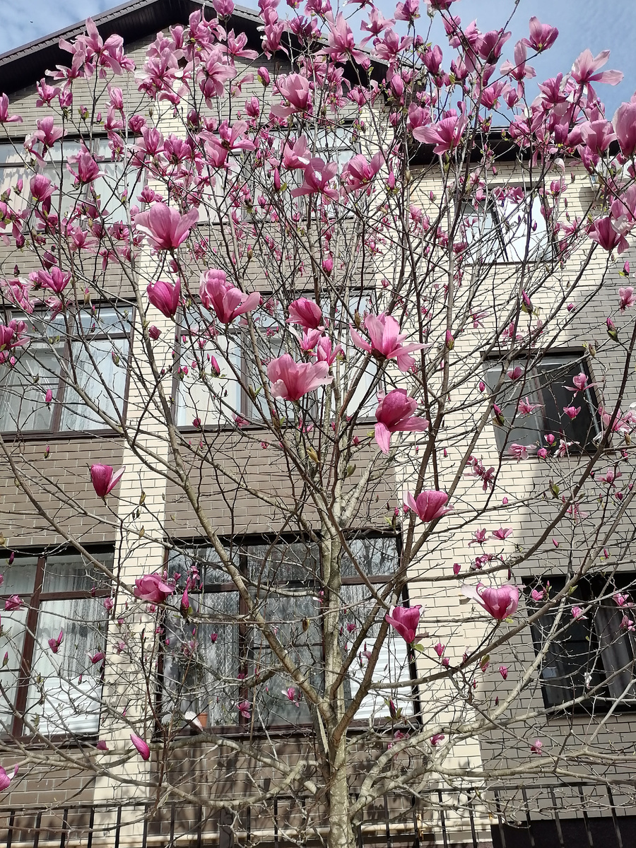 В Горячий пришла весна.