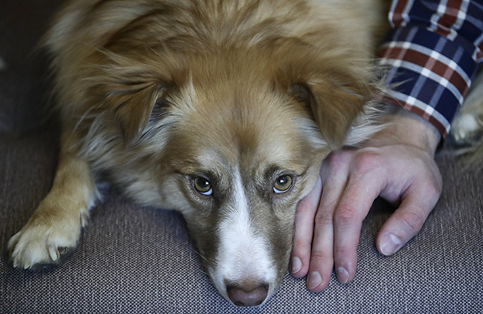    Кирилл Кухмарь/ТАСС