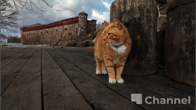 Фото: Анастасия Илюшина / 47channel, архив