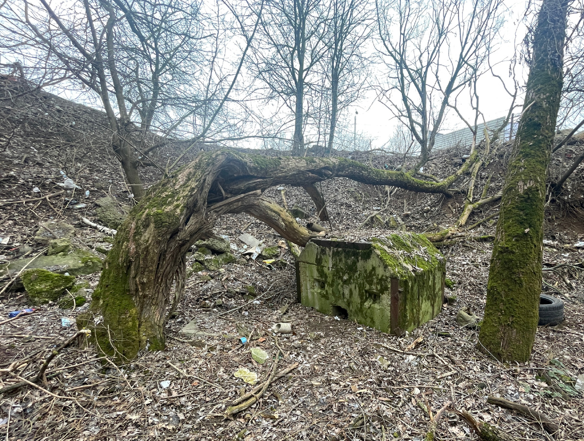 55,85627° С, 37,35785° В