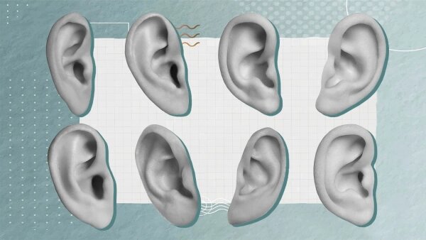 Коллаж © Life.ru. Обложка © Shutterstock / FOTODOM / New Africa, © Freepik / rawpixel.com