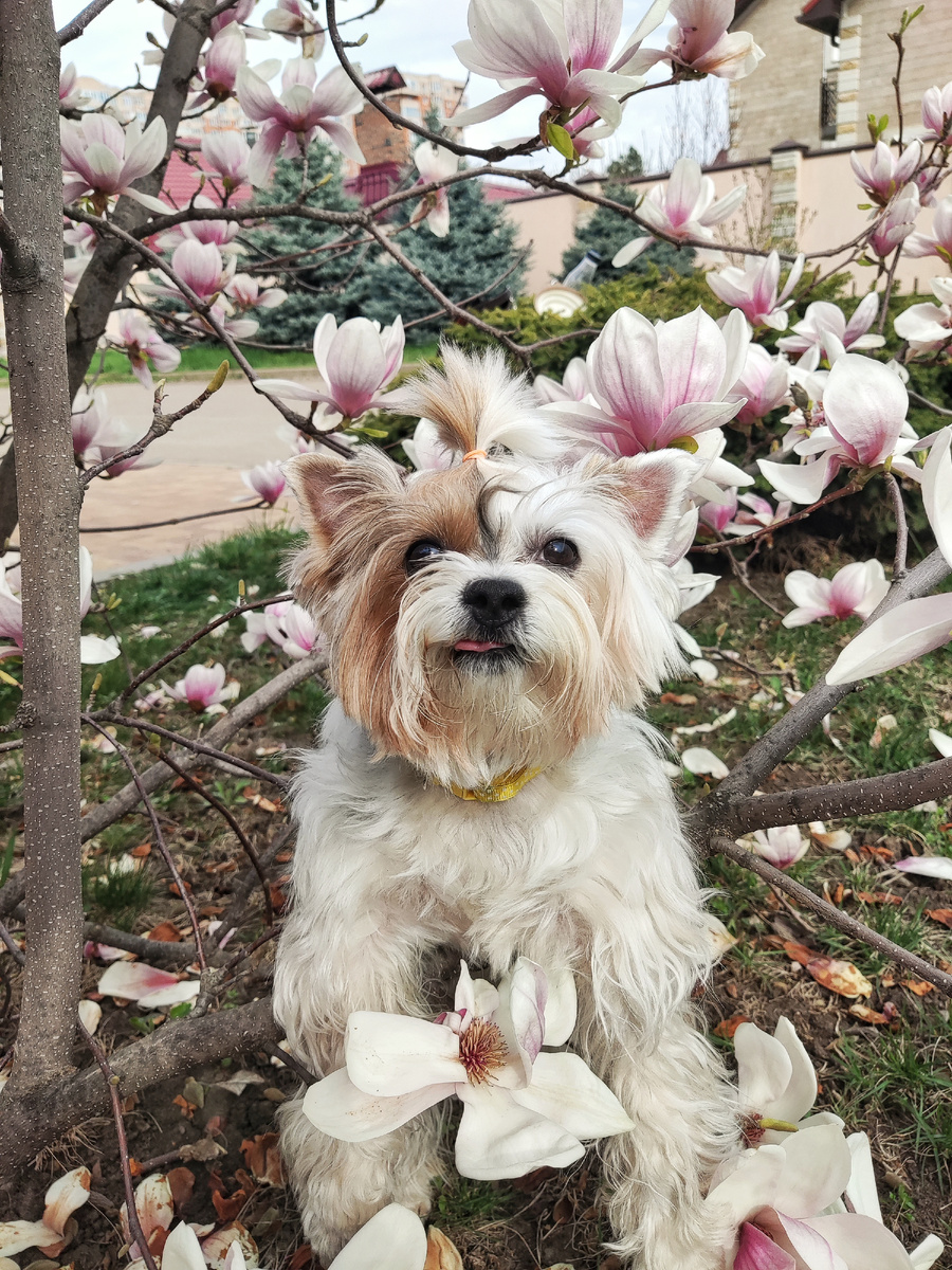 Осваиваем позирование