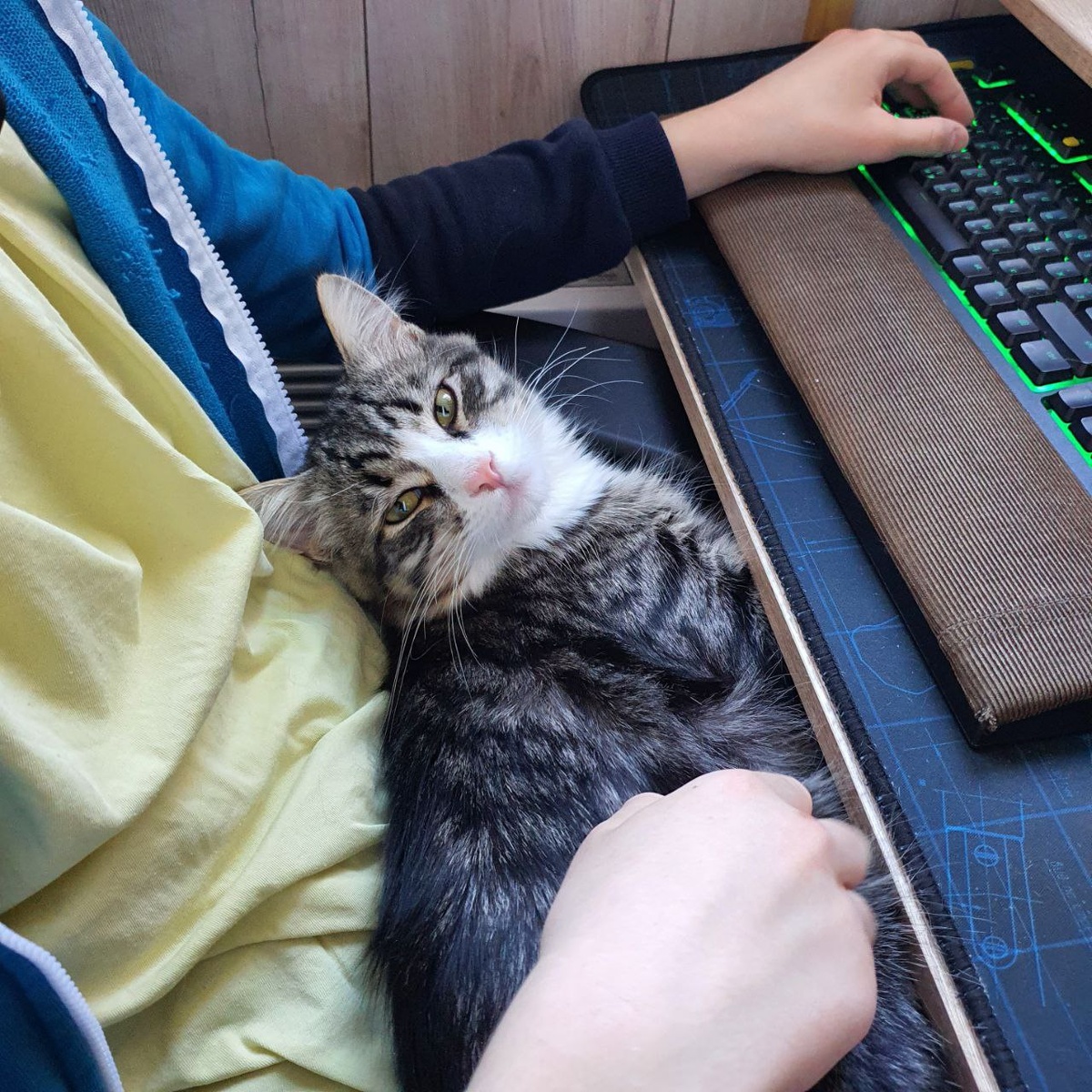 Лёшик после победы в игре