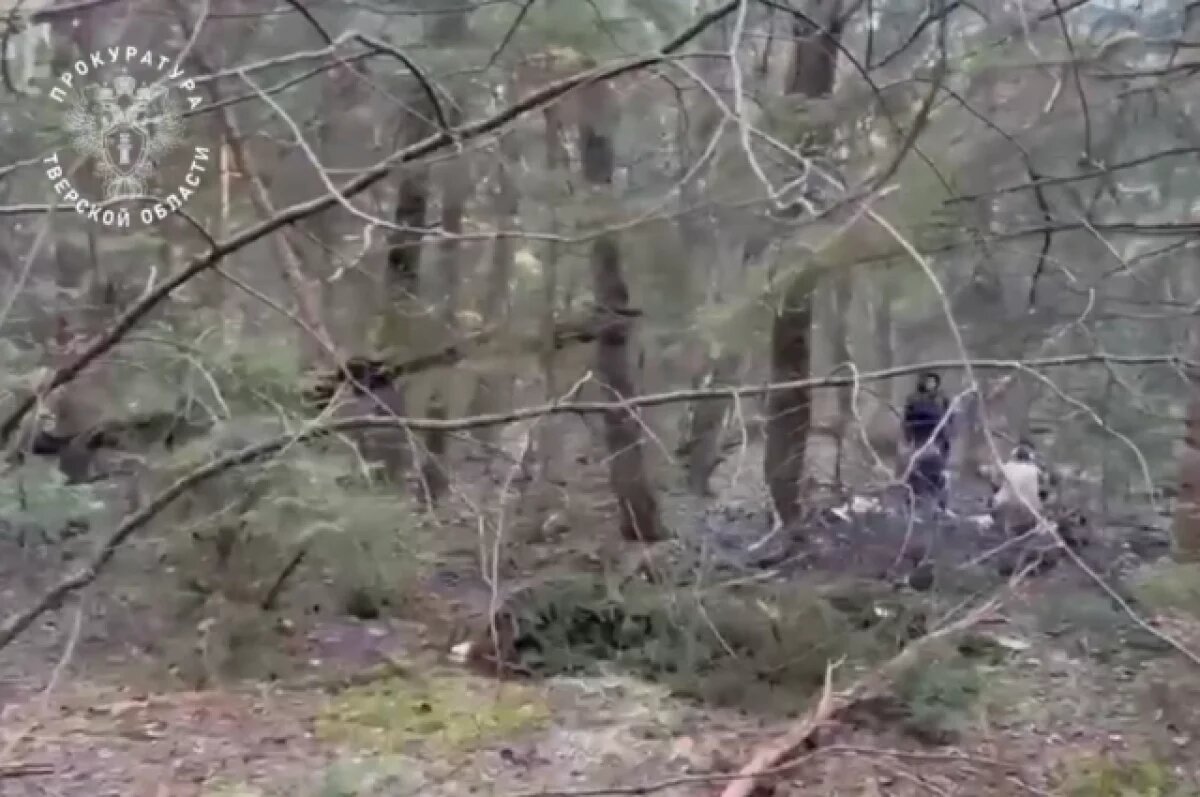    Предполагаемый убийца 13-летней девочки под Тверью задержан