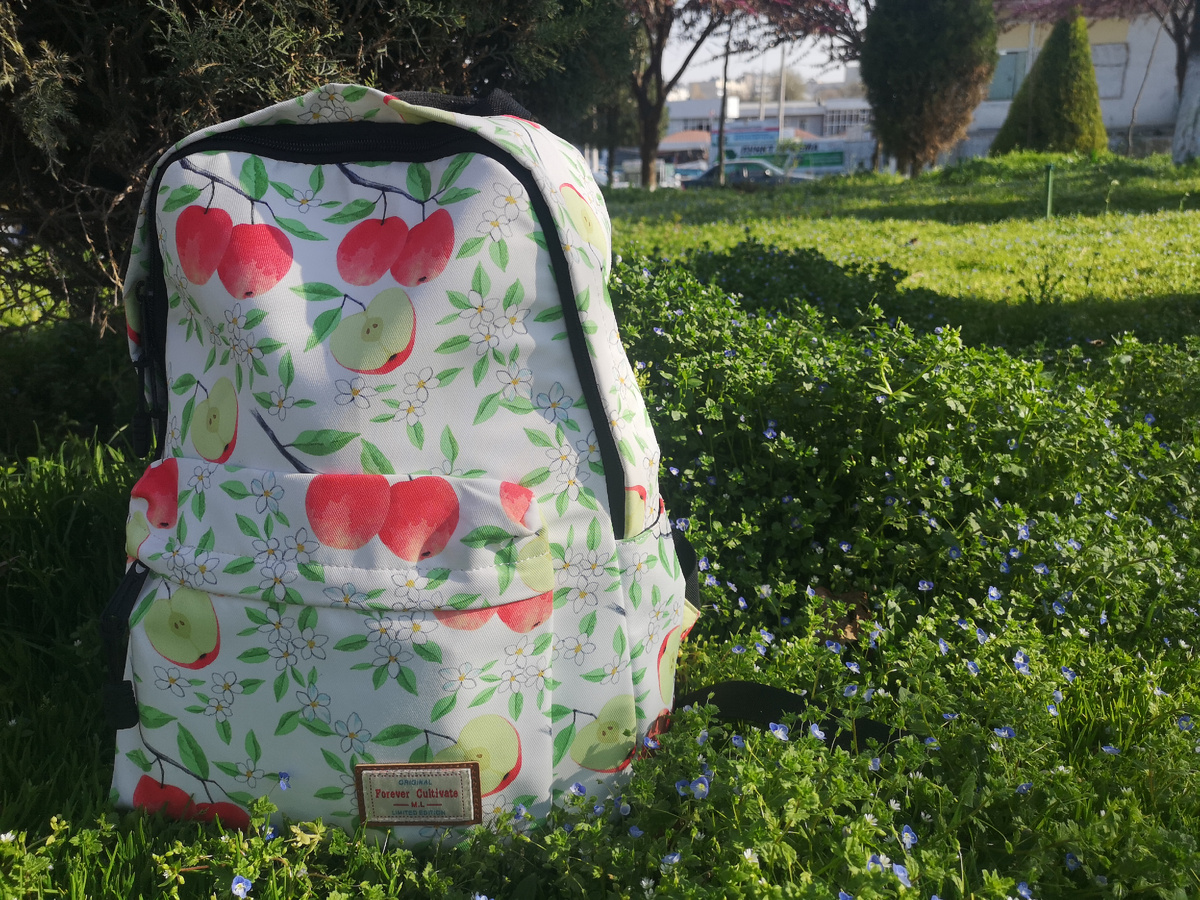 Мой рюкзак-путешественник