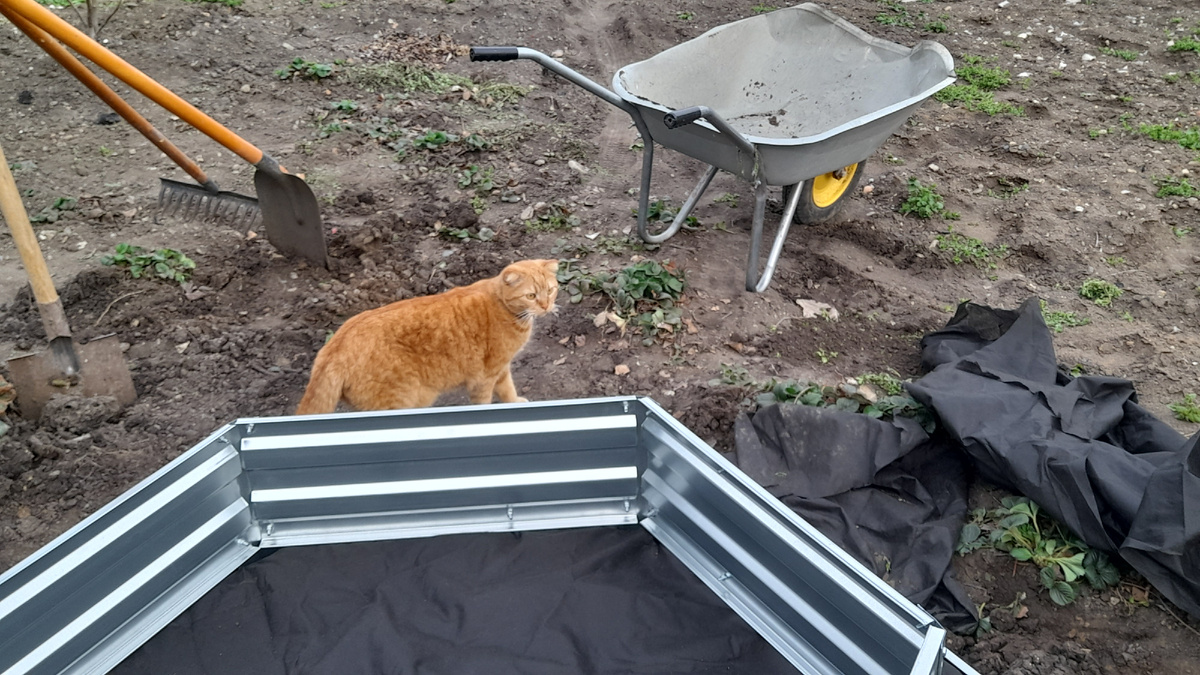 Процесс установки клумбы