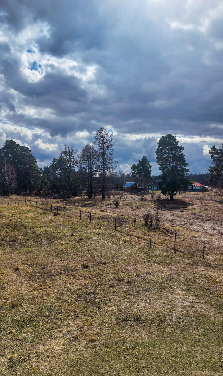 Погода налаживается. После дождей и холодного ветра, наконец-то приходит тепло.