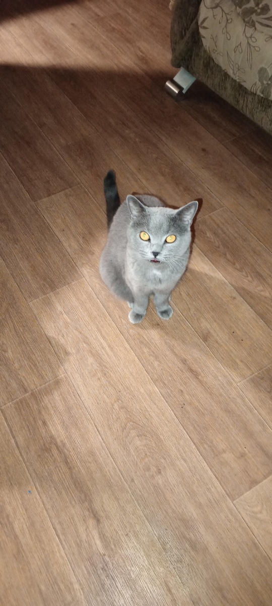 Наш Кубик 😁