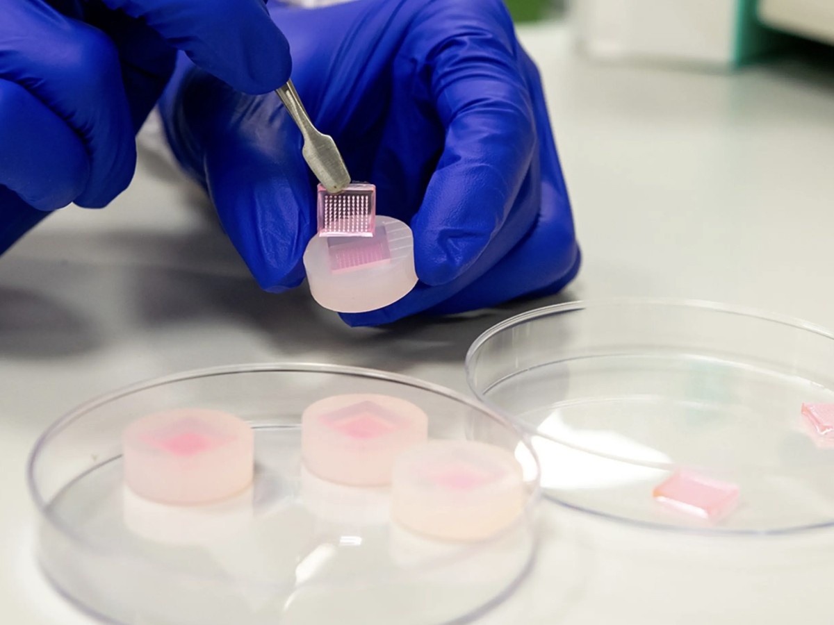    Разработаны микроиглы для неинвазивной доставки лекарств