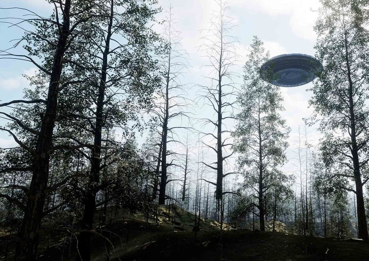 Куда попрятались эти аборигены? (рисунок: Александр Миллс)