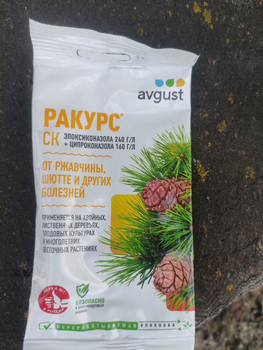 Почему "ракурсом"- потому что он у меня был. Решила использовать то, что есть в наличие. 