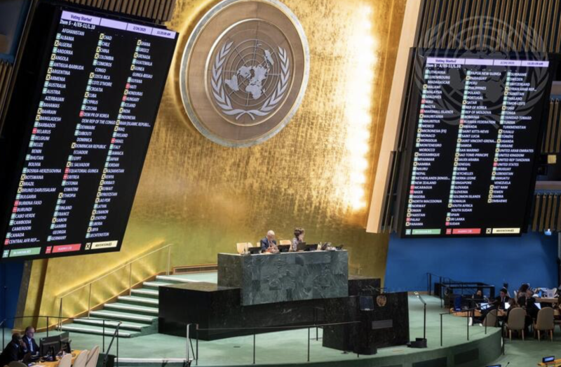    ФОТО: Скриншот с сайта media.un.org