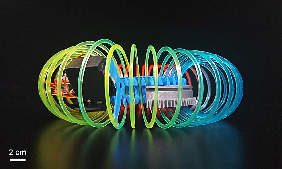 Источник: Feng et al.  📷
