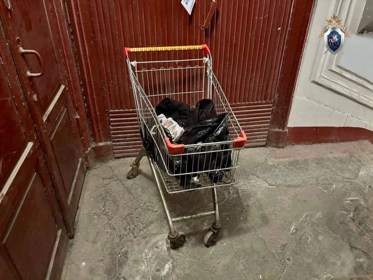    Фото: пресс-служба ГСУ СК РФ по Петербургу